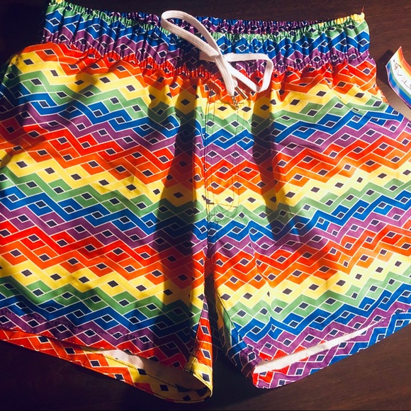 2xist Other - Pride Evolve 2(X)IST Rainbow Knit Swim Trunk — NWT
